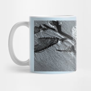 Kelp Sand Foam Mug